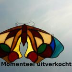 Kleine mot 24x13cm €35