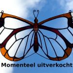 Vlinder otogeta 42x20cm €106